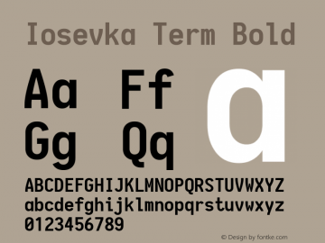 Iosevka Term Bold 1.13.0; ttfautohint (v1.6)图片样张