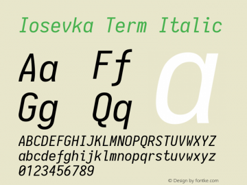 Iosevka Term Italic 1.13.0; ttfautohint (v1.6)图片样张