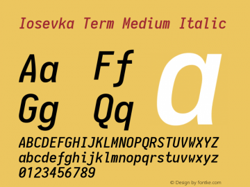 Iosevka Term Medium Italic 1.13.0; ttfautohint (v1.6)图片样张