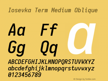 Iosevka Term Medium Oblique 1.13.0; ttfautohint (v1.6)图片样张