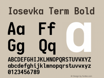 Iosevka Term Bold 1.13.0; ttfautohint (v1.6)图片样张