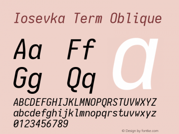 Iosevka Term Oblique 1.13.0; ttfautohint (v1.6)图片样张