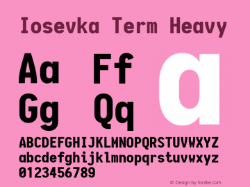 Iosevka Term Heavy 1.13.0; ttfautohint (v1.6)图片样张