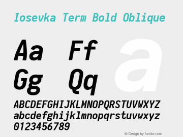 Iosevka Term Bold Oblique 1.13.0; ttfautohint (v1.6)图片样张