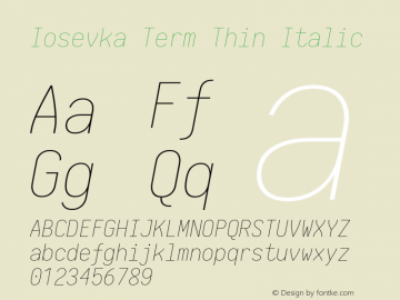 Iosevka Term Thin Italic 1.13.0; ttfautohint (v1.6)图片样张