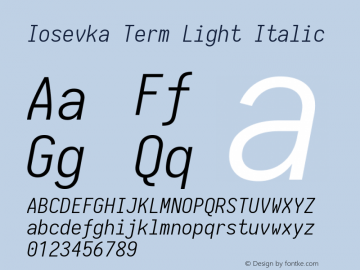 Iosevka Term Light Italic 1.13.0; ttfautohint (v1.6)图片样张