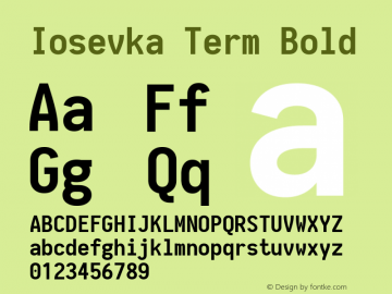 Iosevka Term Bold 1.13.0; ttfautohint (v1.6)图片样张