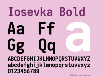 Iosevka Bold 1.13.0; ttfautohint (v1.6) Font Sample