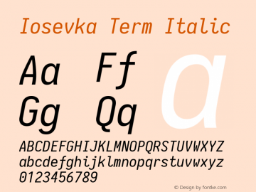 Iosevka Term Italic 1.13.0; ttfautohint (v1.6)图片样张