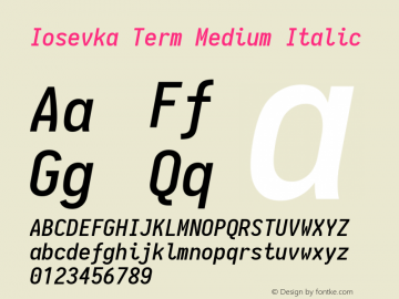 Iosevka Term Medium Italic 1.13.0; ttfautohint (v1.6)图片样张