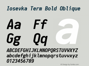 Iosevka Term Bold Oblique 1.13.0; ttfautohint (v1.6)图片样张