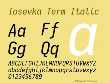 Iosevka Term Italic 1.13.0; ttfautohint (v1.6)图片样张