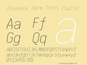 Iosevka Term Thin Italic 1.13.0; ttfautohint (v1.6)图片样张