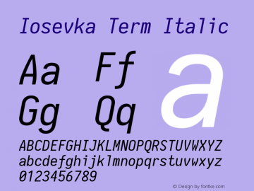 Iosevka Term Italic 1.13.0; ttfautohint (v1.6)图片样张