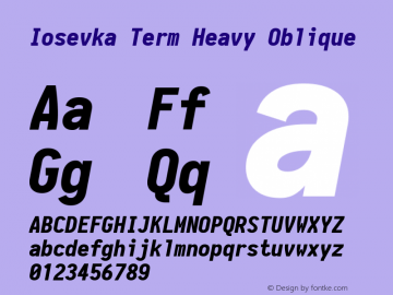 Iosevka Term Heavy Oblique 1.13.0; ttfautohint (v1.6)图片样张