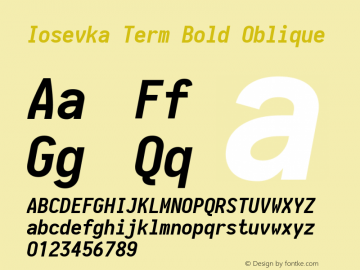 Iosevka Term Bold Oblique 1.13.0; ttfautohint (v1.6)图片样张