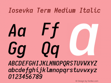 Iosevka Term Medium Italic 1.13.0; ttfautohint (v1.6)图片样张