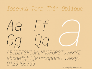 Iosevka Term Thin Oblique 1.13.0; ttfautohint (v1.6)图片样张