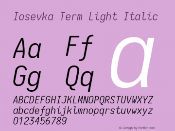 Iosevka Term Light Italic 1.13.0; ttfautohint (v1.6)图片样张