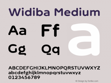 Widiba Medium Version 0.011 Font Sample