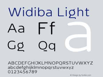 Widiba Light Version 0.005图片样张