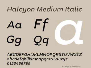 Halcyon Medium Italic Version 2.001;PS 002.001;hotconv 1.0.88;makeotf.lib2.5.64775图片样张