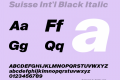 Suisse Int'l Font,Suisse Int'l Black Italic Font ...
