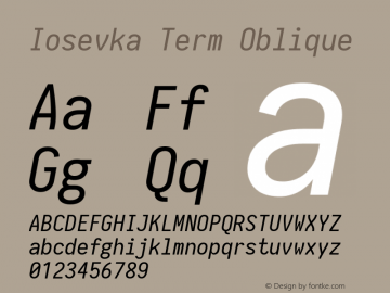 Iosevka Term Oblique 1.13.1; ttfautohint (v1.6)图片样张