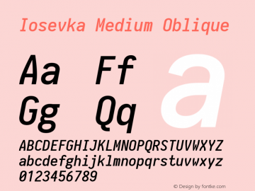 Iosevka Medium Oblique 1.13.1; ttfautohint (v1.6) Font Sample