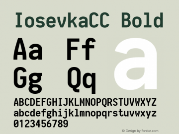 IosevkaCC Bold 1.13.1; ttfautohint (v1.6) Font Sample