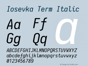 Iosevka Term Italic 1.13.1; ttfautohint (v1.6)图片样张