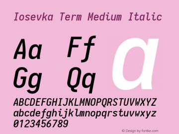 Iosevka Term Medium Italic 1.13.1; ttfautohint (v1.6)图片样张