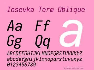 Iosevka Term Oblique 1.13.1; ttfautohint (v1.6)图片样张