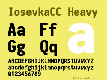 IosevkaCC Heavy 1.13.1; ttfautohint (v1.6) Font Sample