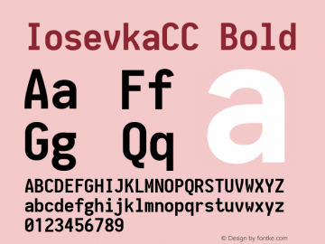 IosevkaCC Bold 1.13.1; ttfautohint (v1.6) Font Sample