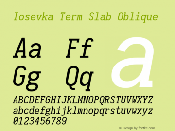 Iosevka Term Slab Oblique 1.13.1; ttfautohint (v1.6)图片样张