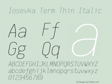 Iosevka Term Thin Italic 1.13.1; ttfautohint (v1.6)图片样张