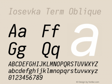 Iosevka Term Oblique 1.13.1; ttfautohint (v1.6)图片样张