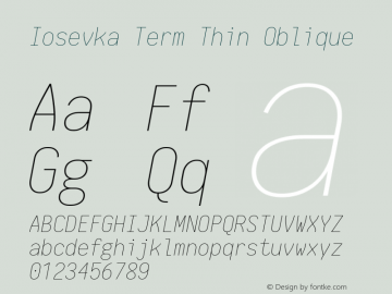 Iosevka Term Thin Oblique 1.13.1; ttfautohint (v1.6)图片样张