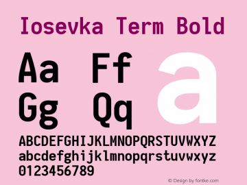 Iosevka Term Bold 1.13.1; ttfautohint (v1.6)图片样张