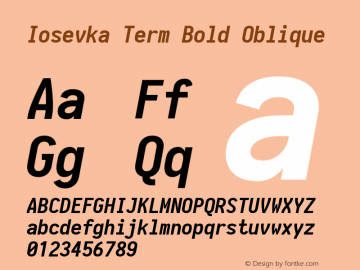 Iosevka Term Bold Oblique 1.13.1; ttfautohint (v1.6)图片样张