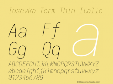 Iosevka Term Thin Italic 1.13.1; ttfautohint (v1.6)图片样张