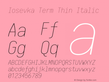 Iosevka Term Thin Italic 1.13.1; ttfautohint (v1.6)图片样张