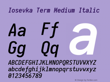 Iosevka Term Medium Italic 1.13.1; ttfautohint (v1.6)图片样张