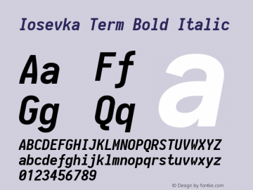 Iosevka Term Bold Italic 1.13.1; ttfautohint (v1.6)图片样张