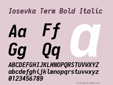 Iosevka Term Bold Italic 1.13.1; ttfautohint (v1.6)图片样张