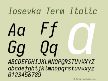 Iosevka Term Italic 1.13.1; ttfautohint (v1.6)图片样张