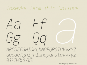 Iosevka Term Thin Oblique 1.13.1; ttfautohint (v1.6)图片样张