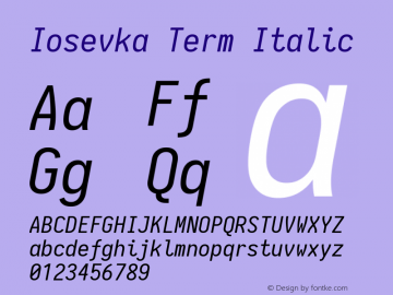 Iosevka Term Italic 1.13.1; ttfautohint (v1.6)图片样张