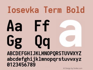 Iosevka Term Bold 1.13.1; ttfautohint (v1.6)图片样张